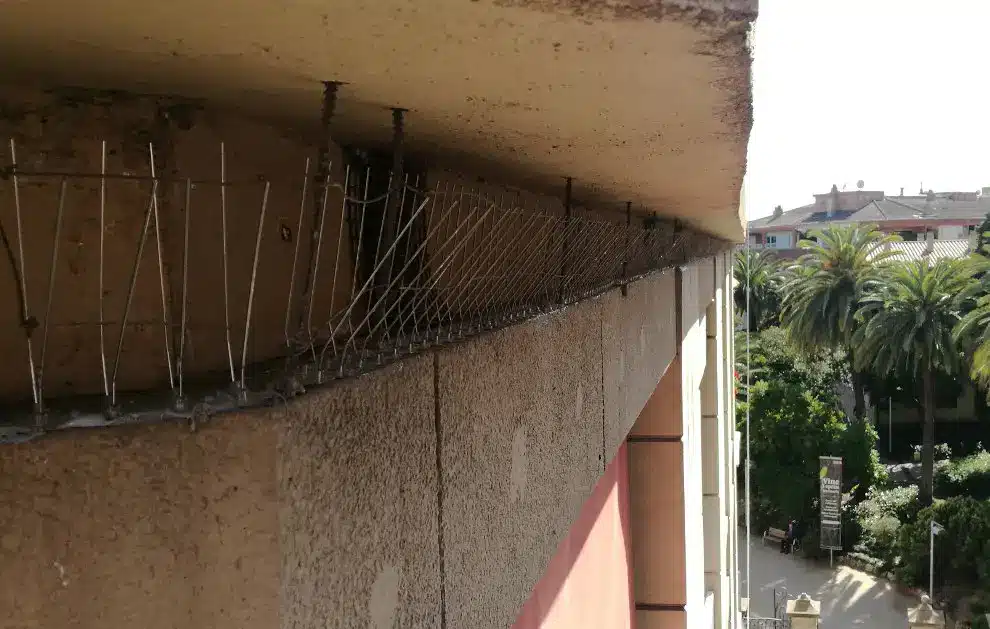 Pinchos Anti Aves en Murcia